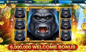 vipbet